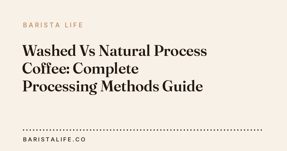 Washed Vs Natural Process Coffee: Complete Processing Methods Guide