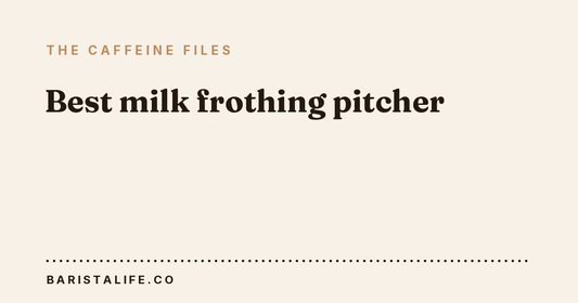 Best milk frothing pitcher