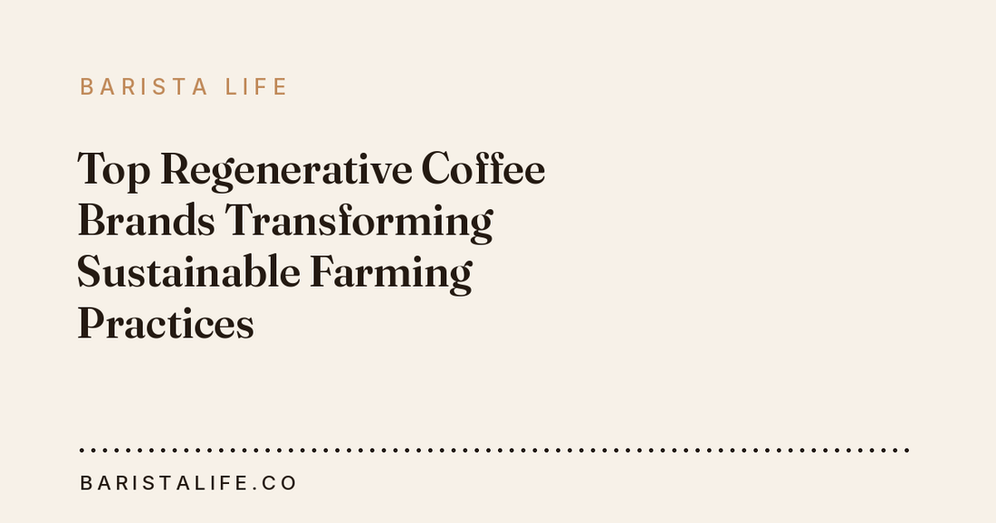 Top Regenerative Coffee Brands Transforming Sustainable Farming Practices
