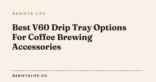 Best V60 Drip Tray Options For Coffee Brewing Accessories